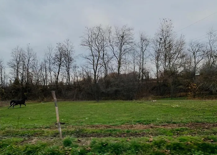 Apartament ★ Stylish & Cozy In Valentina Heights Boutique ★